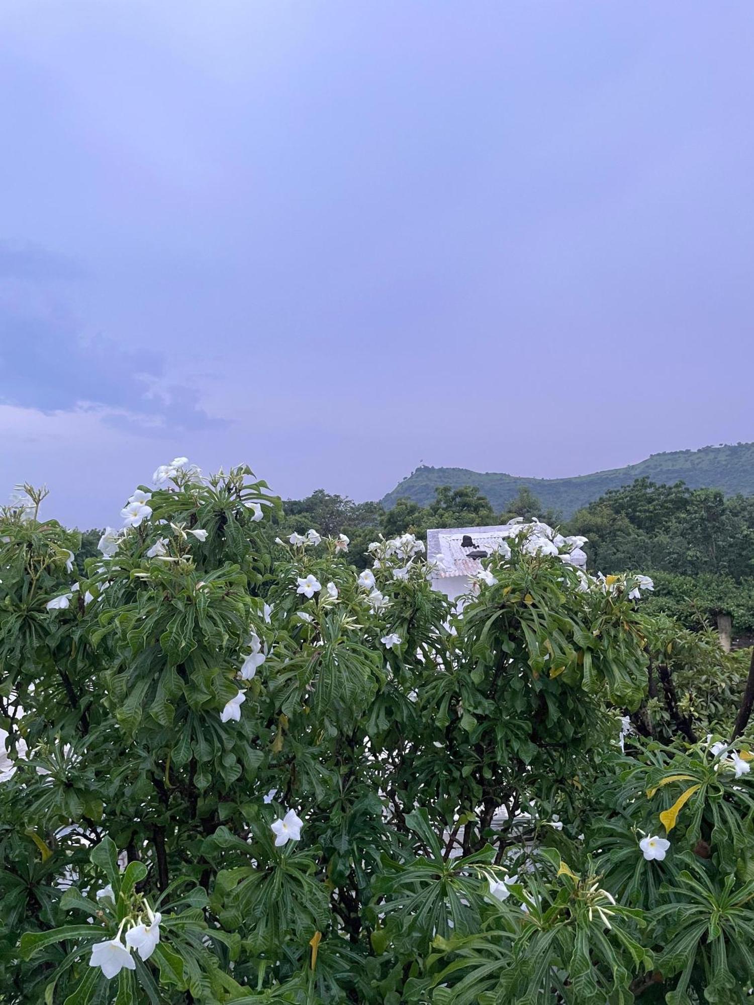 Private & Elegant 3Bhk Villa, Hillside Hideaway, 10 Mins From Mh Bus Stand Аурангабад Экстерьер фото